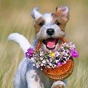 ���� ��������, ������ - ��������� 3 ������ 2020 � ������ ���� ����������