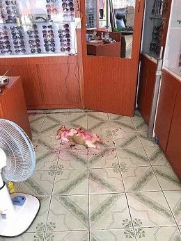 �����������