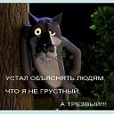 ���� ������, ������, 50 ��� - ��������� 17 ��� 2020 � ������ ���� ����������