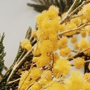 ���� �����, �������, 45 ��� - ��������� 9 ������ 2020 � ������ ���� ����������
