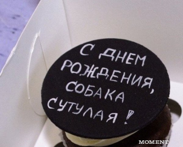 ,     opo))