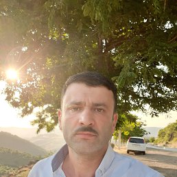 Aqil Mirzeyev, ����, 51 ���