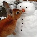 ���� ���������, �����, 48 ��� - ��������� 4 ����� 2020 � ������ ���� ����������