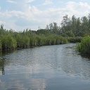 ���� �����, ��������� - ��������� 19 ������ 2020 � ������ ���� ����������