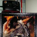 ����� �� ������� ������