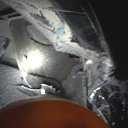 ���� ������, ������������ - ��������� 25 ���� 2020