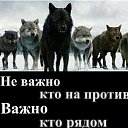 ���� �������, ���������, 80 ��� - ��������� 21 ���� 2020 � ������ ������ ��������