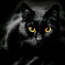 ���� Irbis, ������ - ��������� 1 ������� 2020 � ������ ���� ����������