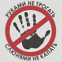 ���� Shia, �����-���������, 48 ��� - ��������� 27 ���� 2020 � ������ ���� ����������