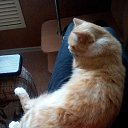 ���� �����, �����, 57 ��� - ��������� 23 ����� 2020 � ������ ���� ����������