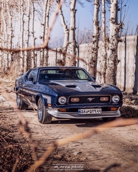 Ford Mustang Mach1 1973