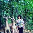 ���� ������, ������, 64 ���� - ��������� 15 ����� 2020 � ������ ���� ���� ������