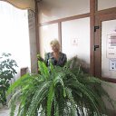  , , 70  -  26  2020   . 2020 ..