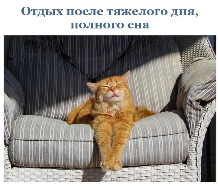  oopa, oope ooy o acpoee, ec  eo py ypo. - 5