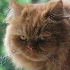       ,            ... - 3