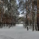 ���� ��������, ������ �������� - ��������� 9 ������� 2020 � ������ ���� ����������