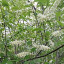 ���� ���������, ������ - ��������� 12 ��� 2020