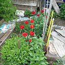 ���� ��������, ������ �������� - ��������� 15 ��� 2020 � ������ ������ ��������