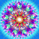 ���� ��������, �������, 30 ��� - ��������� 17 ���� 2020 � ������ ���� ����������