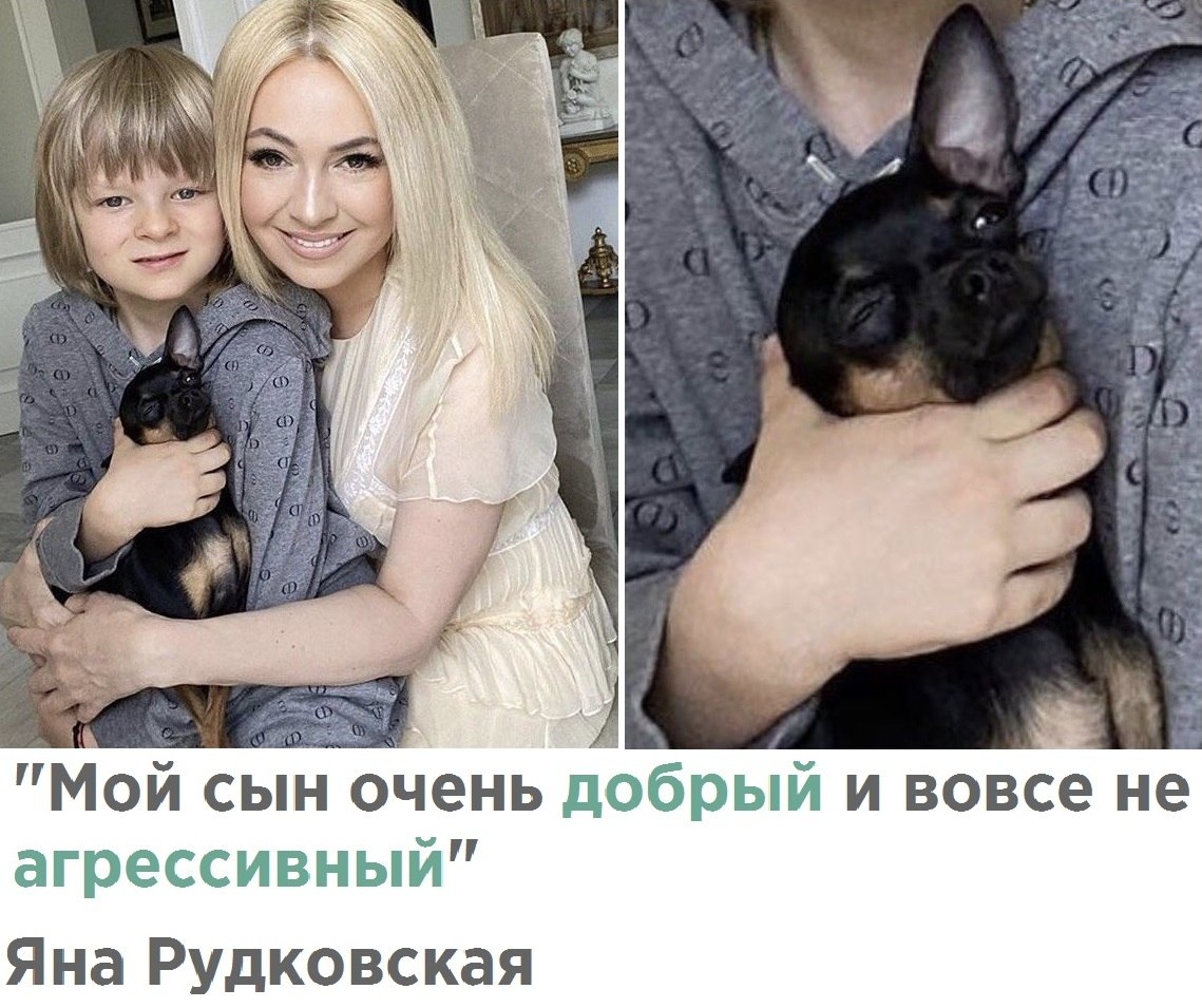 Гном гномыч 2025 мем