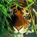 ���� ����, �����������, 63 ���� - ��������� 30 ���� 2020