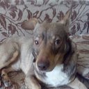 ���� �����, �����, 57 ��� - ��������� 23 ����� 2020 � ������ ���� ����������