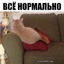 ���� ����, ����� - ��������� 26 ������ 2020 � ������ ���� ����������