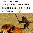 ���� ��������, ����������, 43 ���� - ��������� 8 ����� 2020 � ������ ���� ����������