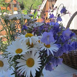 �����, ������, 56 ���