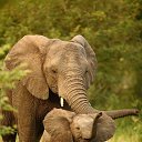 ���� ����, ������������, 50 ��� - ��������� 3 ��� 2020 � ������ ���� ����������