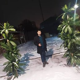 ����, ������, 36 ���