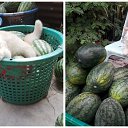 ���� �������, ����������, 50 ��� - ��������� 14 ���� 2020 � ������ ������ ��������