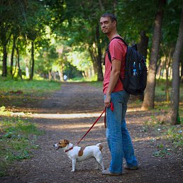 ���� ������, ������, 41 ��� - ��������� 14 ������ 2020