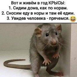 ���� �����, ����������, 55 ��� - ��������� 6 ������ 2020