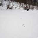 ���� �������, �����������, 58 ��� - ��������� 22 ���� 2020 � ������ �������� �����