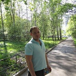 ���� �����, �����-���������, 44 ���� - ��������� 2 ����� 2020