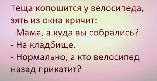  - 24  2020  12:56