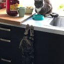 ���� � ����!!! �� ������� ������ ��������