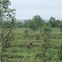 ���� �������, ���� - ��������� 19 ���� 2020 � ������ ���� ����������