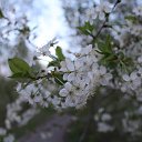 ���� ������, �������, 53 ���� - ��������� 11 ��� 2020 � ������ ������ ��������