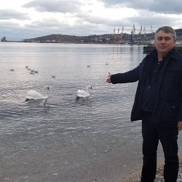 ����, ��������-13, 54 ����