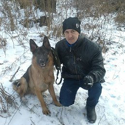 ������, ���������, 45 ���