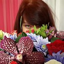 ���� �����, ������������ - ��������� 16 ��� 2020 � ������ ���� ����������