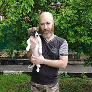 ����, 46 ���, ���������