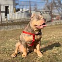 ��������! �� ������� ���� ����������