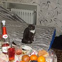  , , 36  -  9  2020     2020