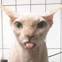 ���� ����, ����, 42 ���� - ��������� 15 ������ 2020 � ������ ���� ����������