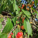 ���� ���������, �������, 60 ��� - ��������� 6 ���� 2020 � ������ ���� ����������