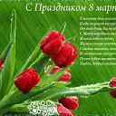 ���� ��������, ������� ��������, 23 ���� - ��������� 8 ����� 2020 � ������ ������ ��������