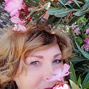 ���� ����@, ���� - ��������� 29 ���� 2020 � ������ ���� ����������